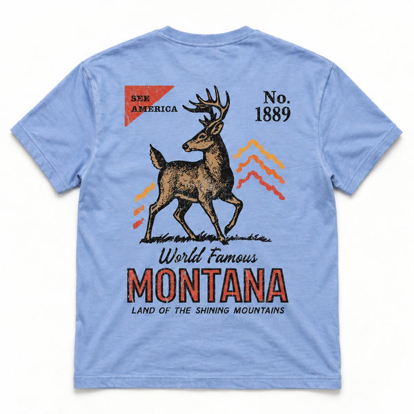 Wildlands Tee - Men's Pigment Light Blue - back flat lay